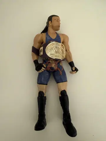 WWE 프로레슬링 피규어 롭 밴 댐