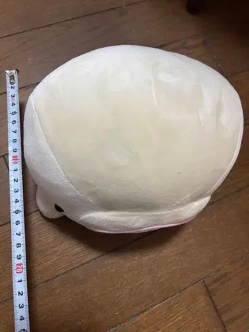 벨루가 흰돌고래 봉제 인형 핫케이지마 시 파라다이스