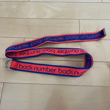 backnumber 백넘버 벨트