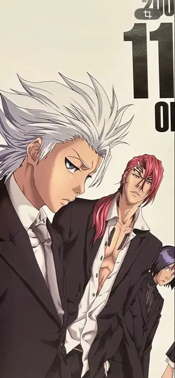 히츠가야 토시로 쿠치키 루키아 이치고 BLEACH 판촉 포스터 애니메이션 투어