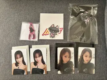 aespa 지젤 7세트 카드 키링
