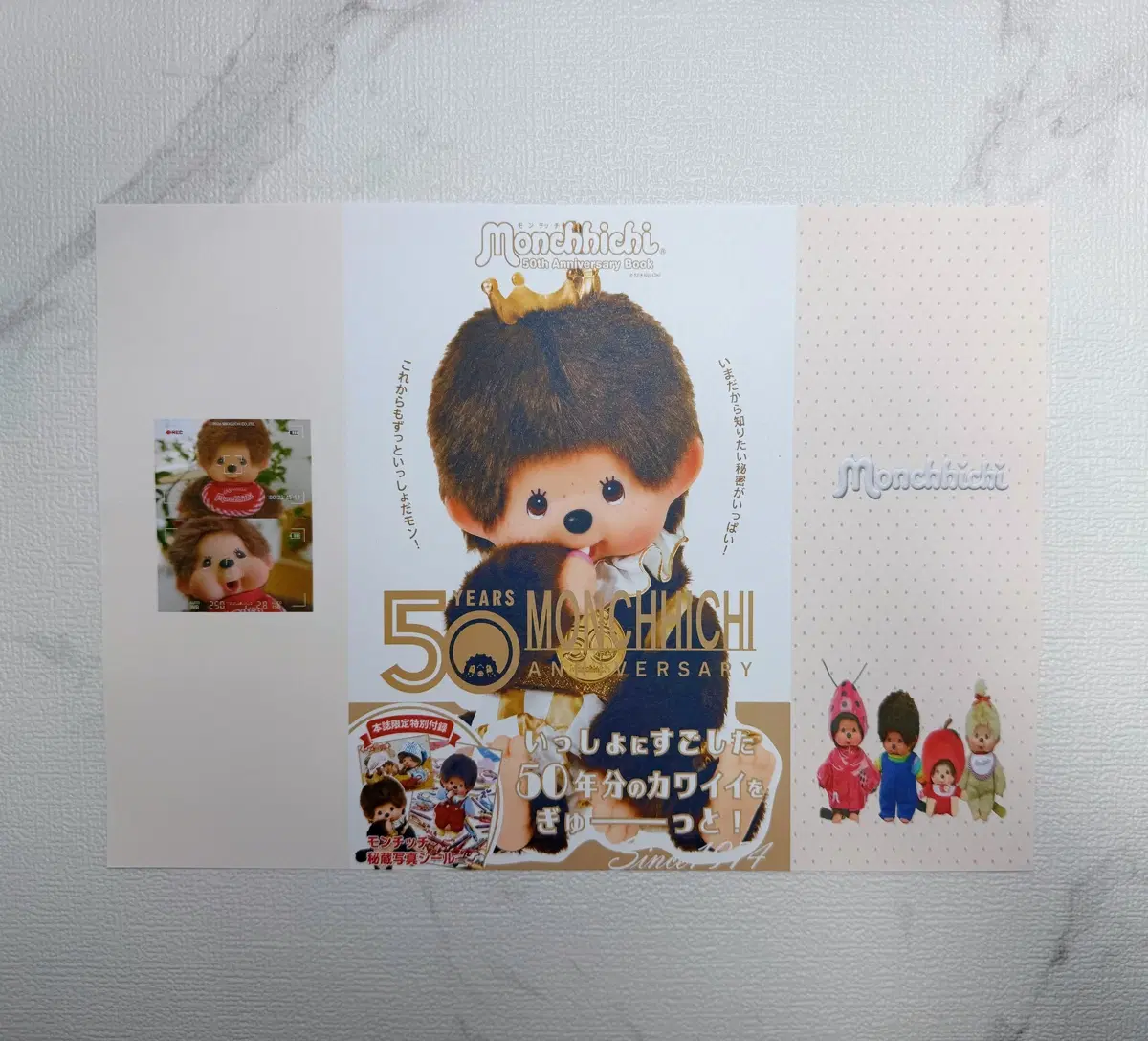 (캐릭터 애니) 포용 50주년 몬치치 랩핑지 A4