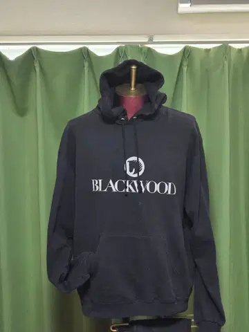 [ Champion BLACKWOOD ] 후드티 블랙 [레어]