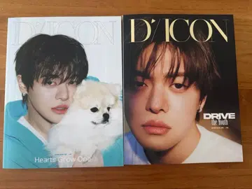 ALD1 리오 DICON 잡지만 개별 판매 가능