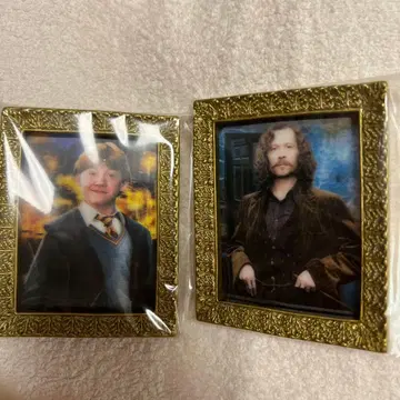 HarryPotter 초상화 마그넷 컬렉션