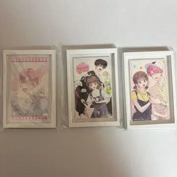 타몬 군 지금 어느 쪽!? BIG 프레임 마그넷 3세트