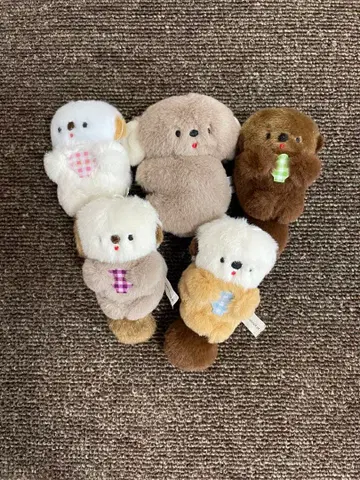 니코야마 포케 랏코 코알라 가챠