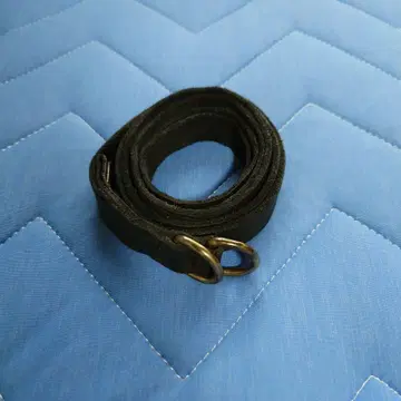 GUIDI 26SS NARROW BELT BISON FULL GRAIN