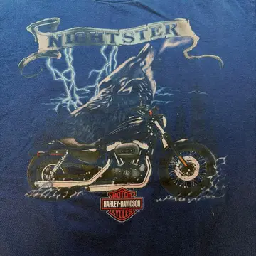 [ 초레어 ] 2008년식 Harley-Davidson 썬더 울프