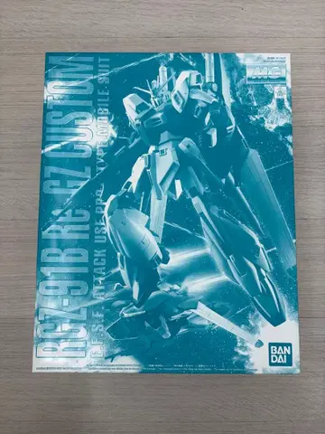 MG 1/100 리가지 커스텀