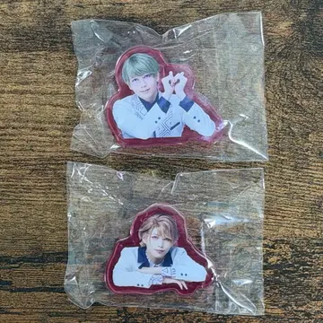 에이스테 아크릴 클립 시 치카게 2개 세트