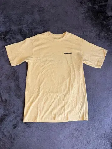 patagonia 파타고니아 티셔츠