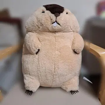마모트 봉제 인형 복슬복슬