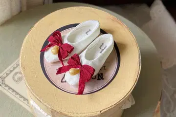 오비츠 24용 커스텀 브라이스 실크 신발
