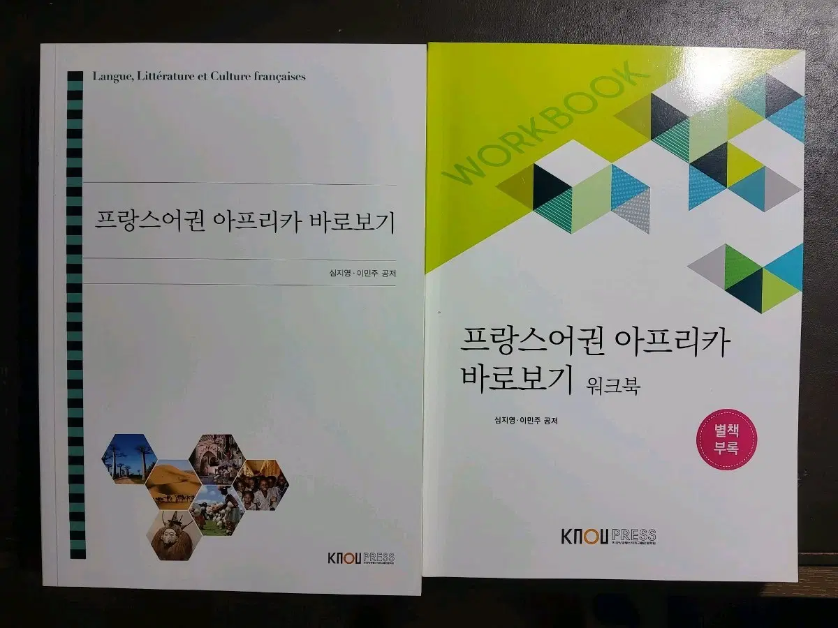 방통대 전공책 프랑스어권 아프리카 바로가기