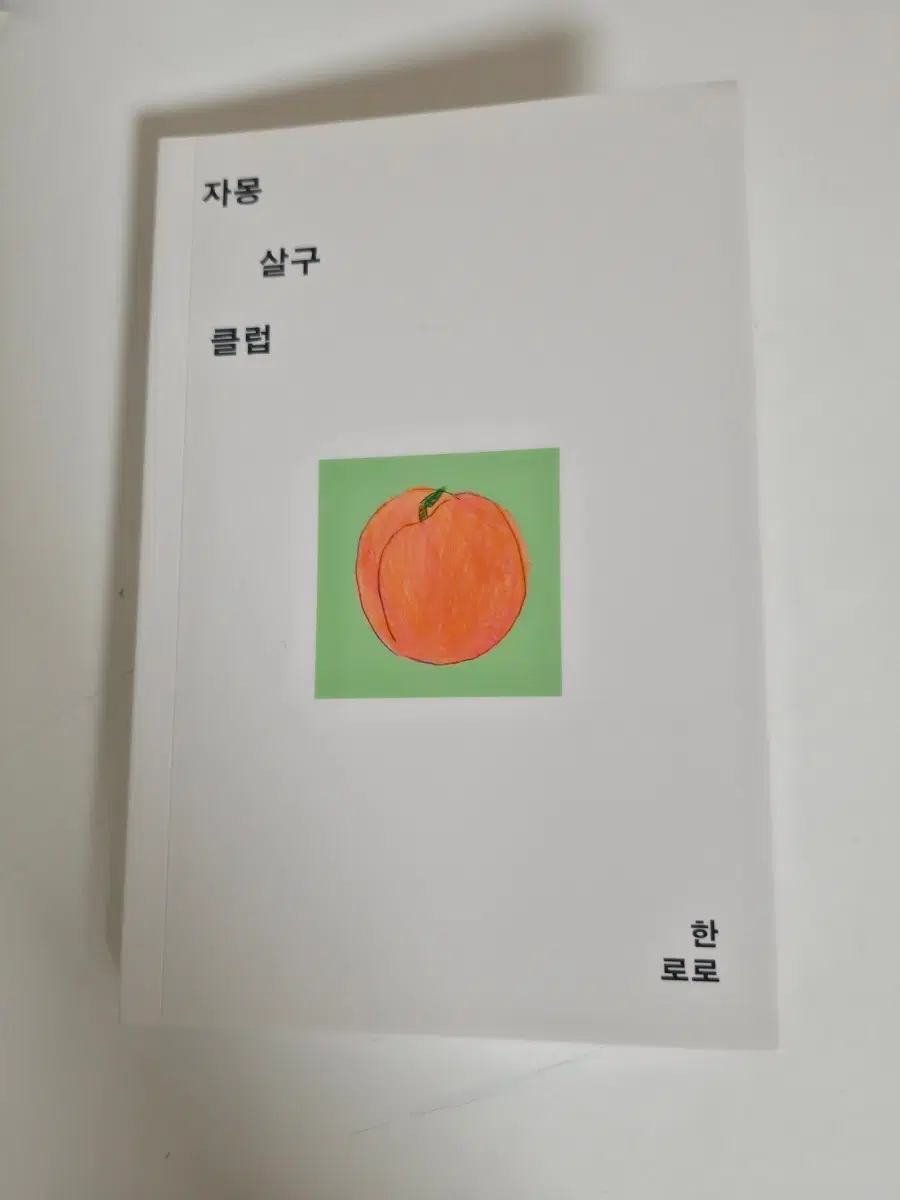 한로로 자몽살구클럽 소설