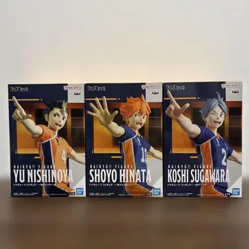 하이큐!! 피규어 일격필살 히나타 쇼요 니시노야 유 스가와라 코시