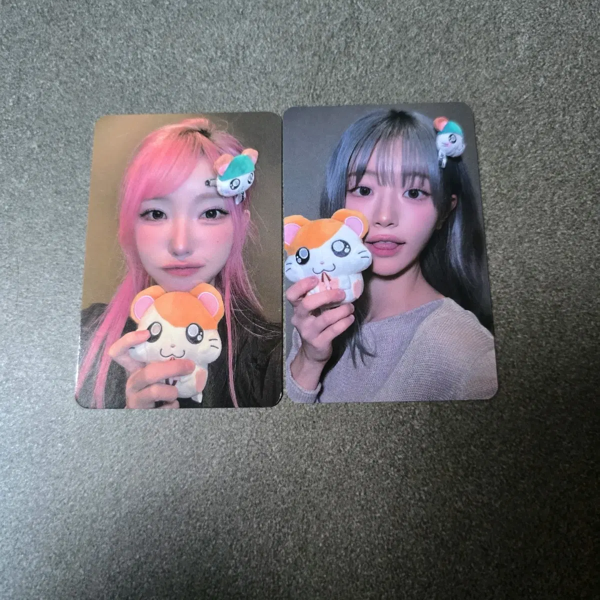 QWER 세레머니 햄토리 미공포 포카 쵸단 마젠타 히나 시연