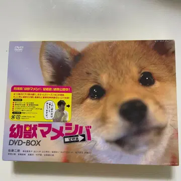 어린 짐승 마메시바 DVD-BOX 새상품 (샘플판)