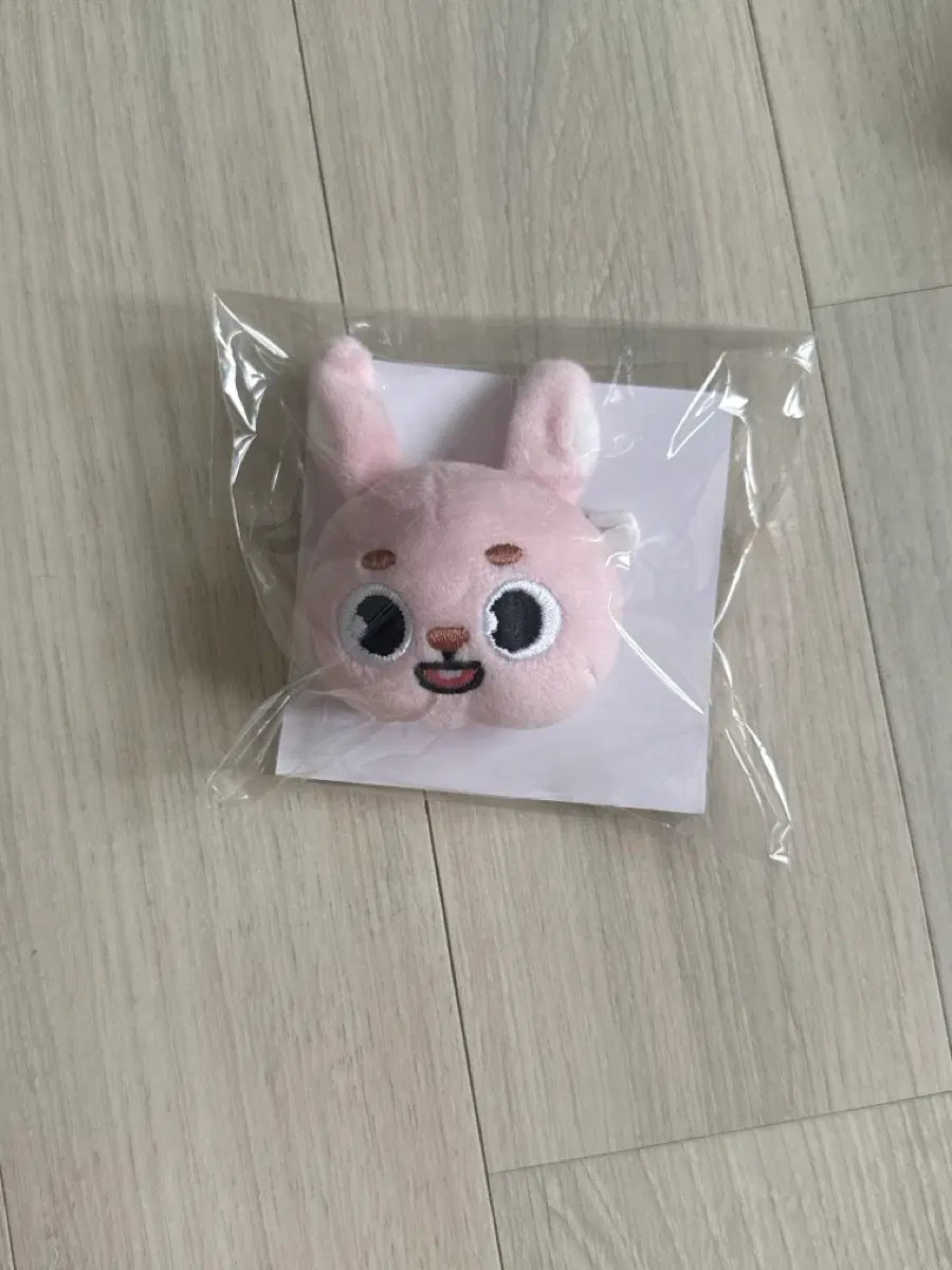 데이식스 일본 필 뱃지
