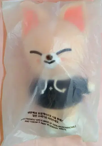 StrayKids 2024MAGIC SCHOOL I.N FoxI.Ny 25cm