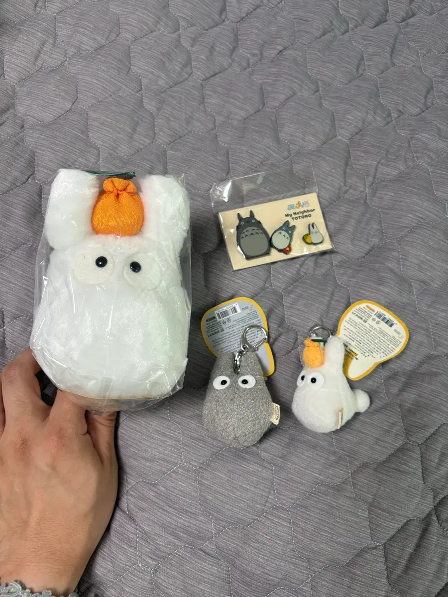 토토로 제주 한정 상품 판매 ( 민트 고다마 )