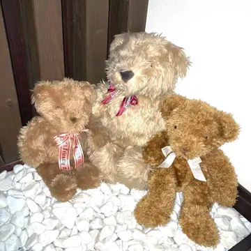 테디베어 곰 봉제 인형 레트로 빈티지 옛날 3체 세트