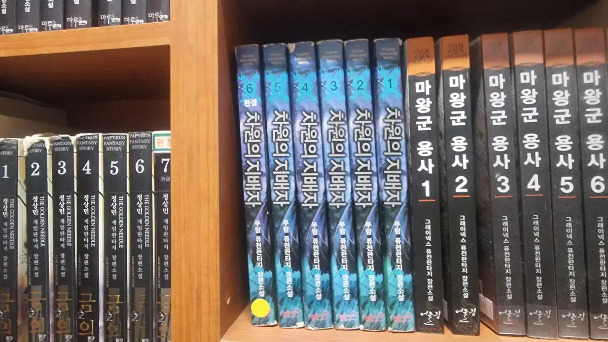 차원의지배자 1-6 완 무람 퓨전판타지 소설