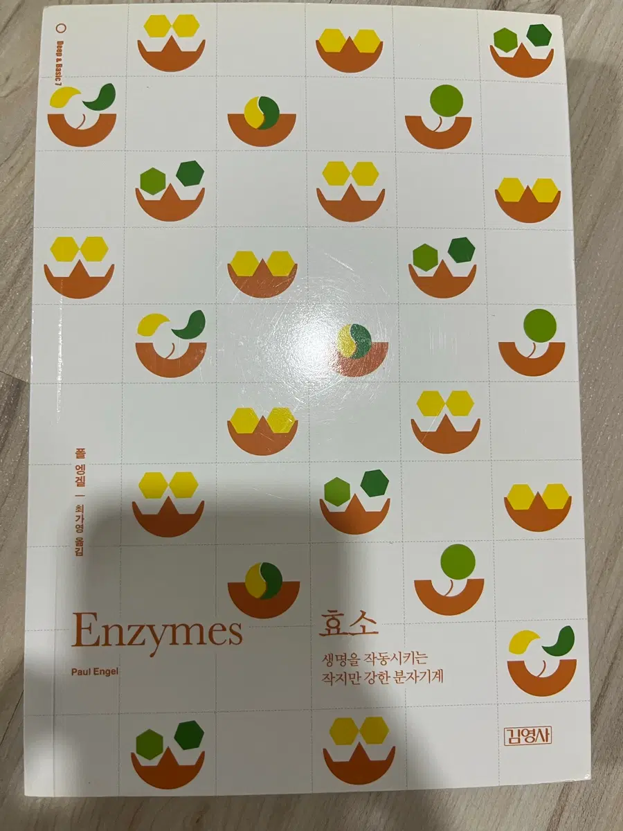 효소 - 생명을 작동시키는 작지만 강한 분자기계