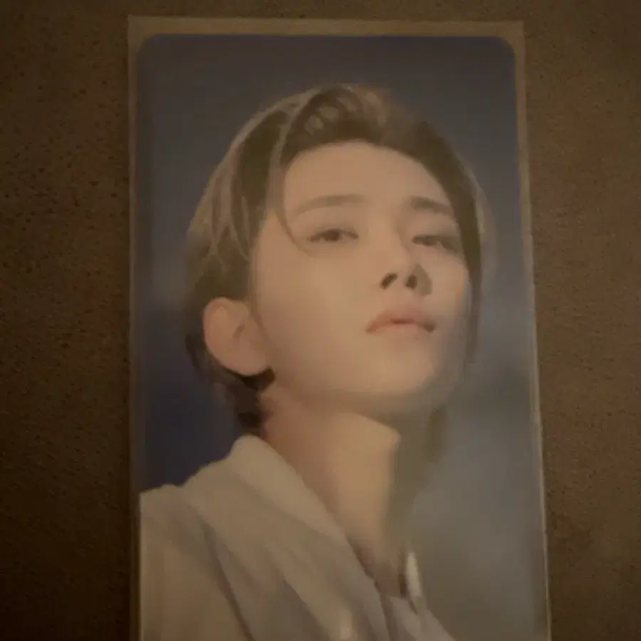 [SECTOR 17] Seventeen 조슈아 포카