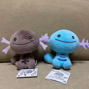 포켓몬 포커스 봉제 인형 오 파 2체 세트