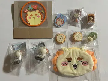 치이카와 시사 세트 묶음 판매