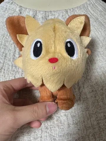 포켓몬 봉제 인형