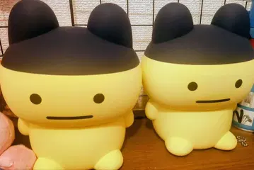 마메치 룸 라이트