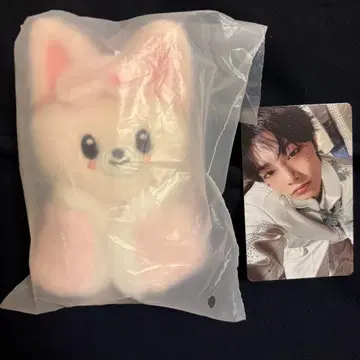 StrayKids SKZOO 10cmPlush 폭시니 트레이딩 카드