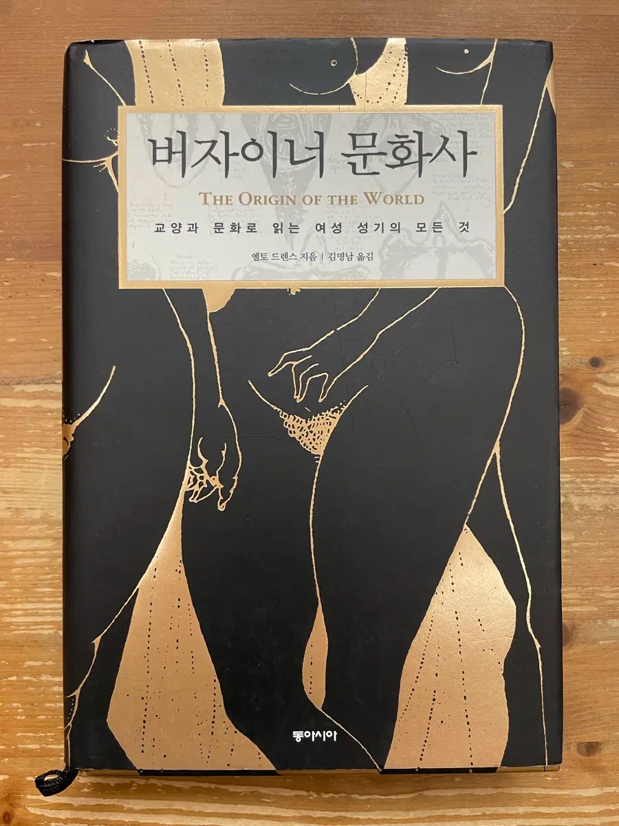 버자이너 문화사 : 교양과 문화로 읽는 여성 성기의 모든 것
