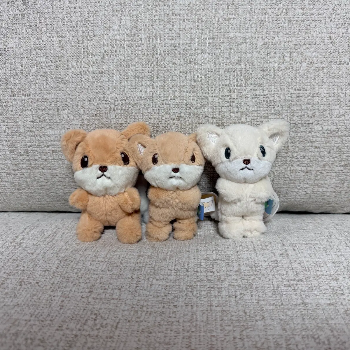 정품 사막여우 모래 별 8cm 키링 인형