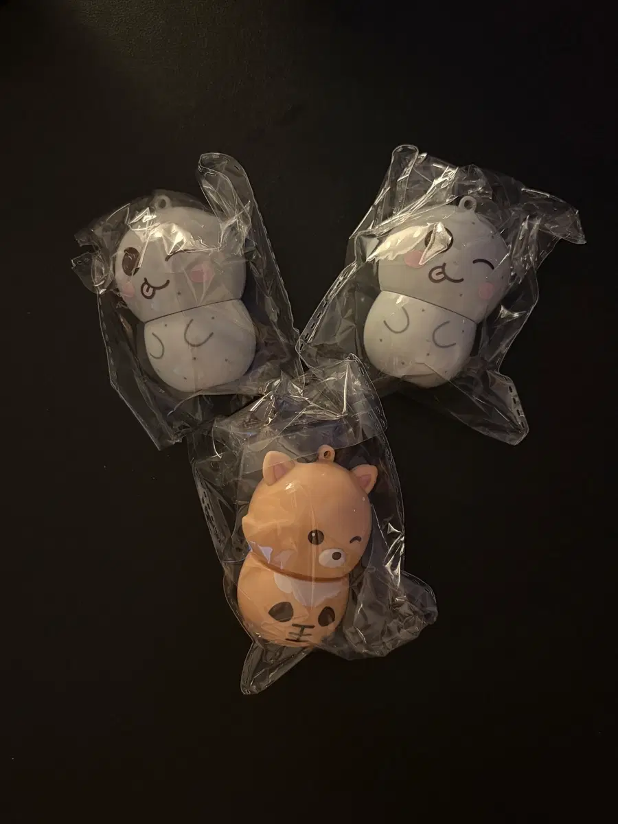 라이즈 보틀캔디 교환