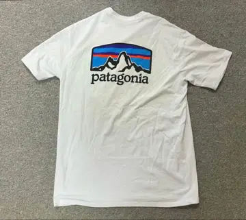 patagonia 백 빅 프린트 크루넥 티셔츠