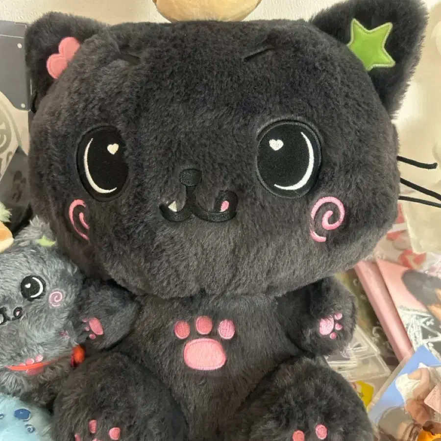 Nct Wish Kuri Doll Riku Doll | Bunjang Global
