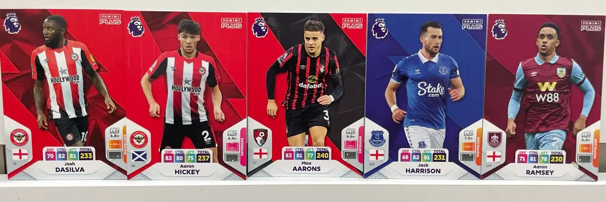 파니니 플러스 epl 2024 카드
