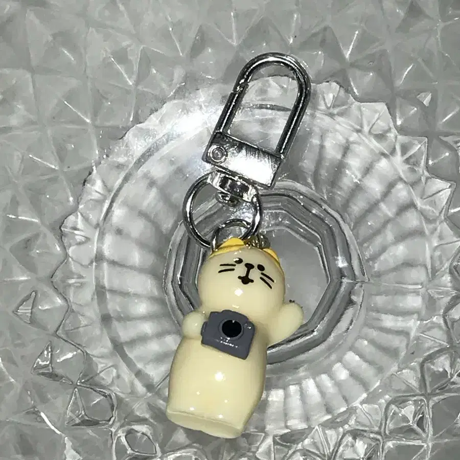 카메라 고양이 키링
