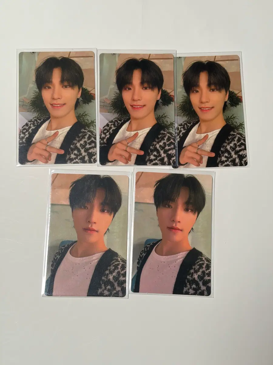 세븐틴 디노 포카