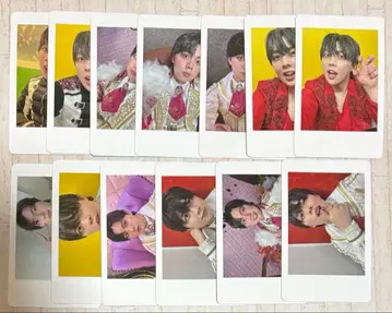 팬더 드래곤 나기 하피카