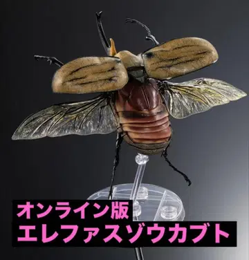 [온라인판] 생물대도감 어드밴스 엘레파스 코뿔소 단품
