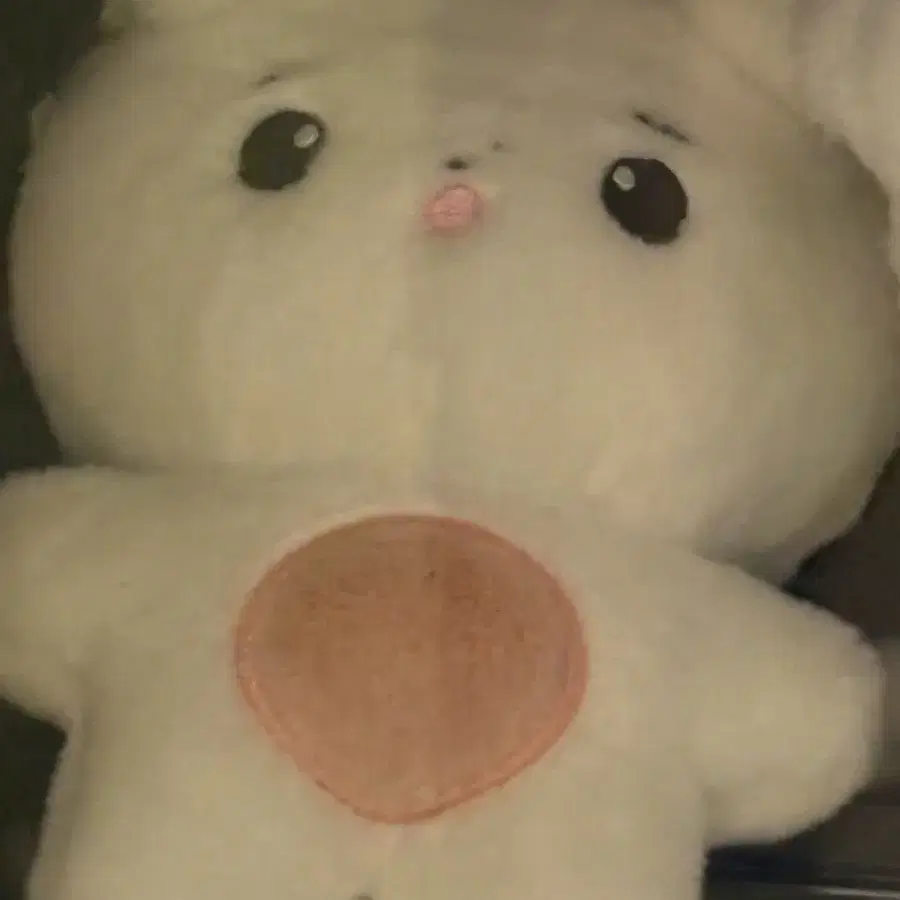 엔하이픈 박성훈 인형 판매합니다!