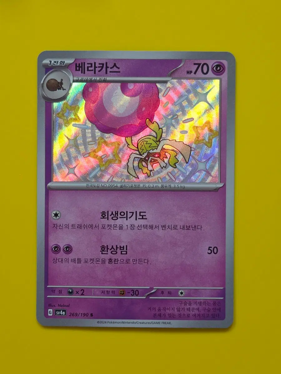 포켓몬카드 베라카스 이로치