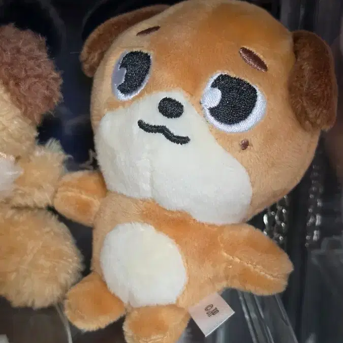 데니멀즈 일본 돈