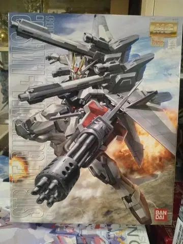 MG 1/100 스트라이크 건담 + I.W.S.P.