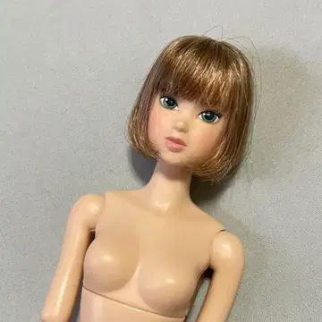 세키구치 momoko 레이시 모더니스트 본체만